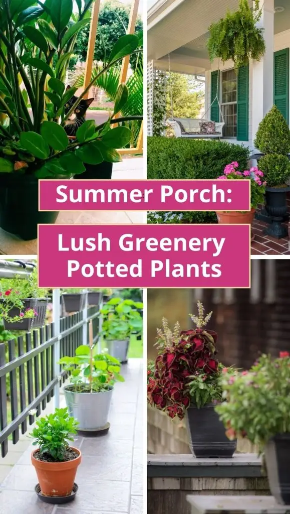 summer porch potted plants
